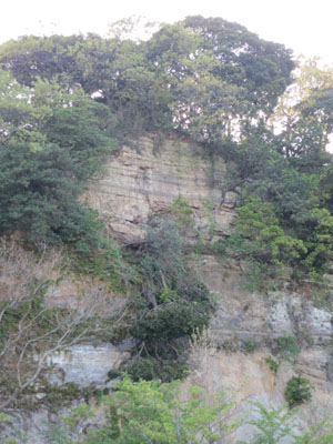 山林の崖、地層　断崖絶壁
