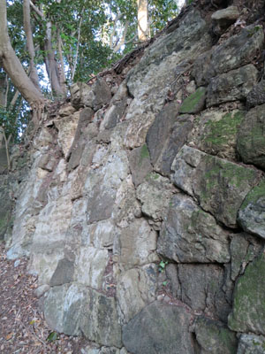 山林の崖、地層　石