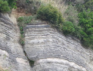山林の崖、地層　断層ひび割れ